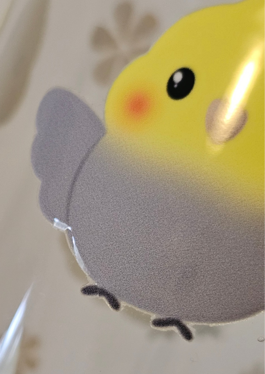 B Grade Cups (Minor Flaws)