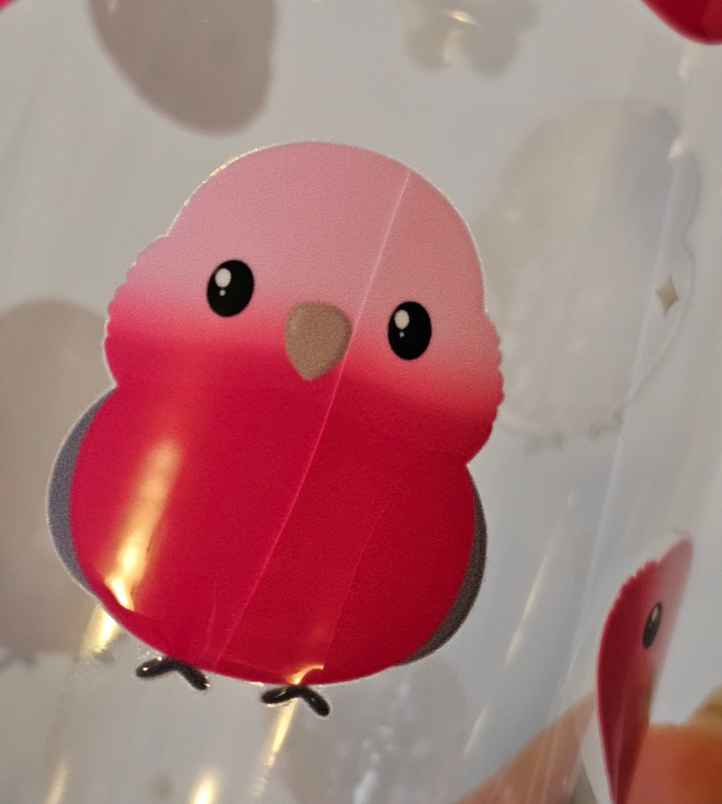 B Grade Cups (Visible)