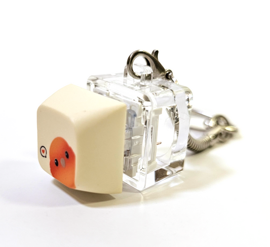 Sun Conure Clicky Keychain