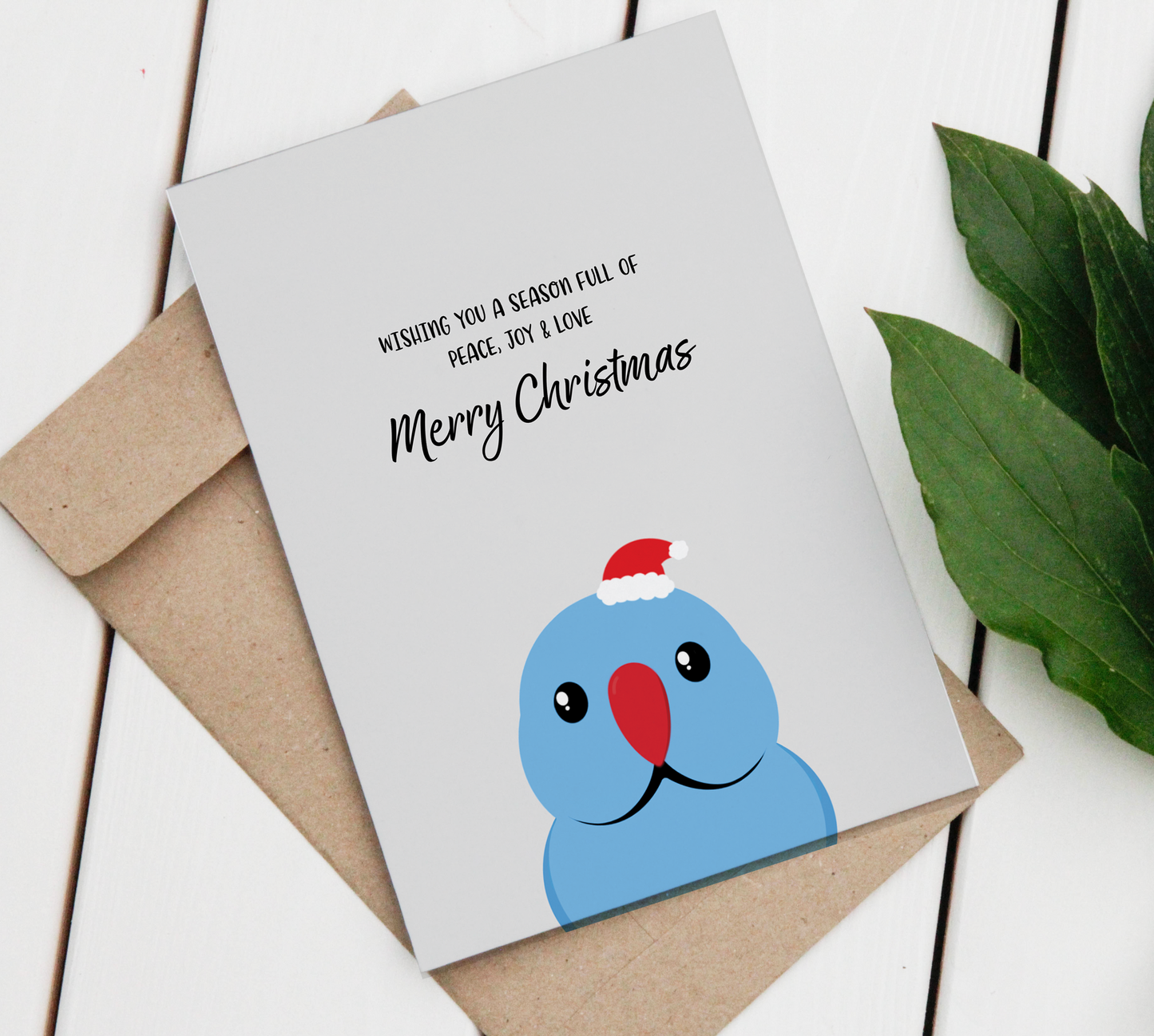 Blue Ringneck Merry Christmas