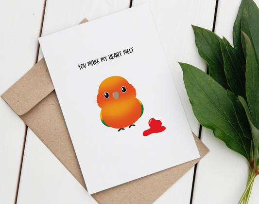 You Make My Heart Melt - Sun Conure
