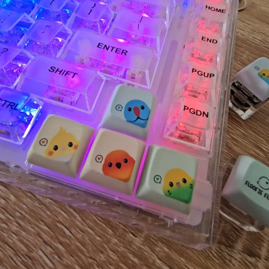 Keycaps Only