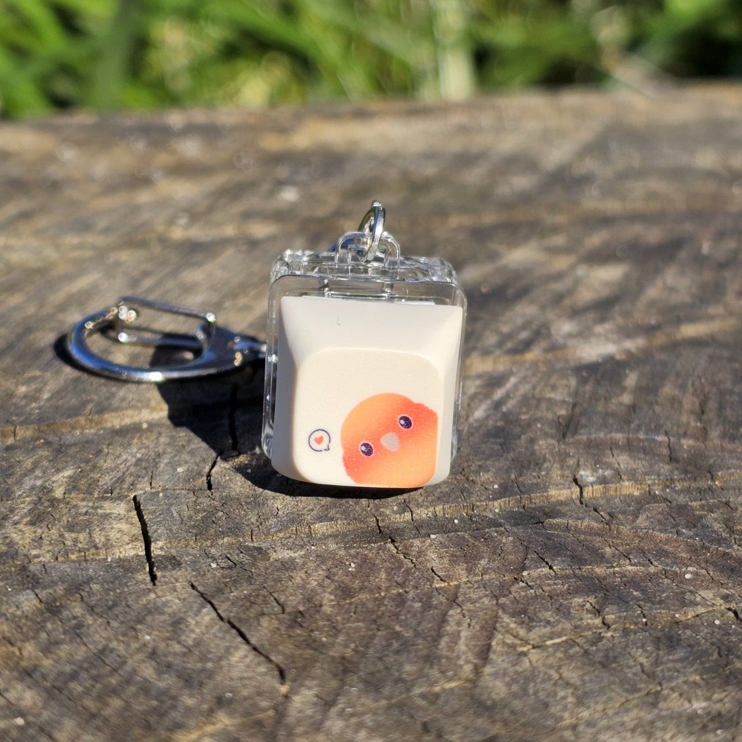 Sun Conure Clicky Keychain