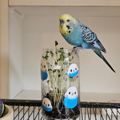 B Grade Cups (Minor Flaws)