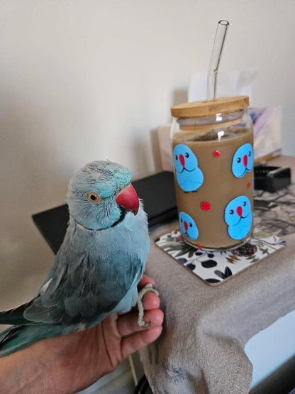 B Grade Cups (Minor Flaws)