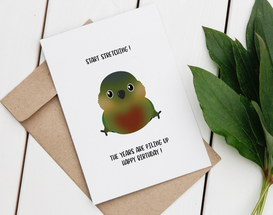 Green Cheek Conure Stretching Birthday Card